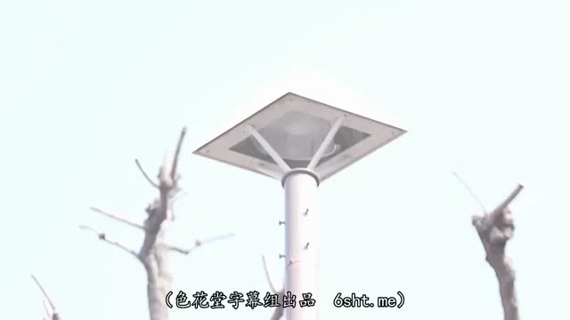 [ATID-303] Sếp nữ van xin được ân ái thêm lần nữa trước khi làm đám cưới